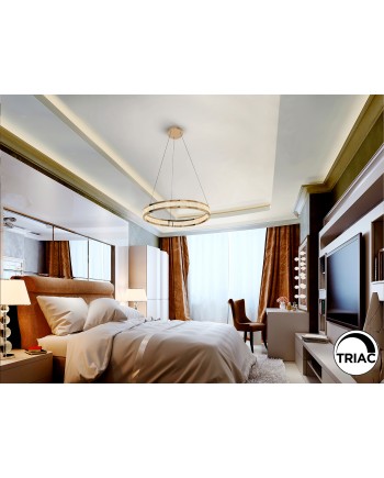 LORIAN- LAMPARA 1 ARO DORADO BRILLO